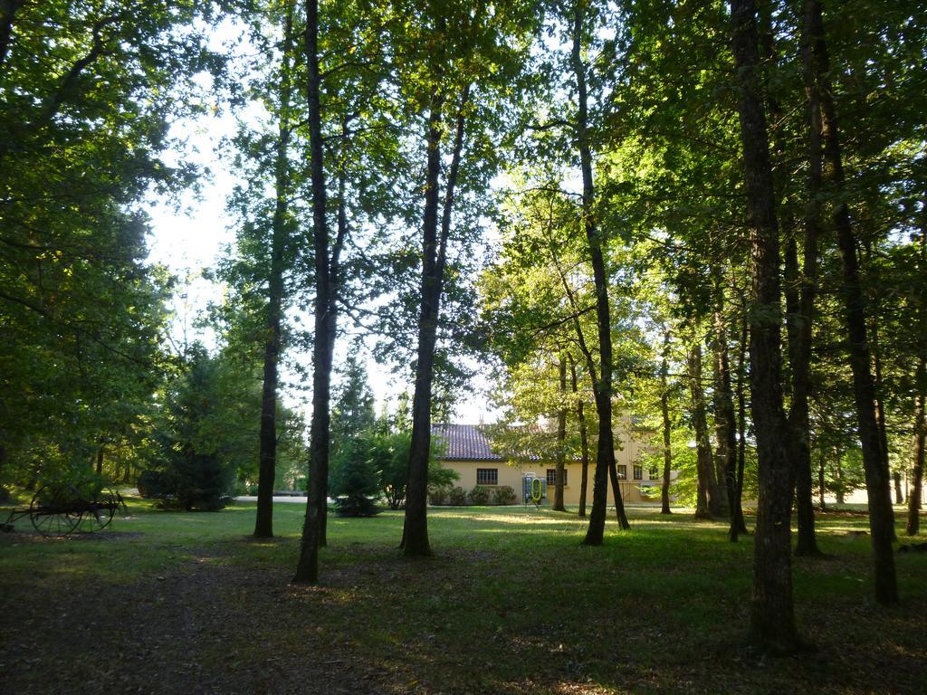 Maison De Vacances Macou 2 Capdrot Exteriör bild